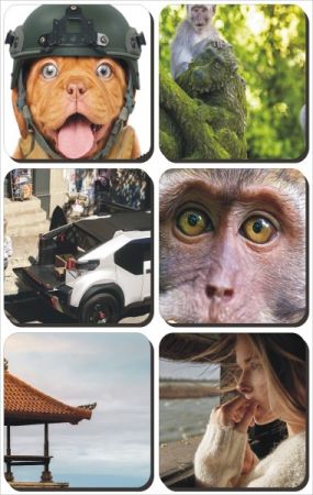 Mix Beautiful Wallpapers Best Collection pack 588