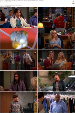 The Big Bang Theory S01-S12 1080p BluRay 10bit x265 HEVC DDP5.1-PHOCiS