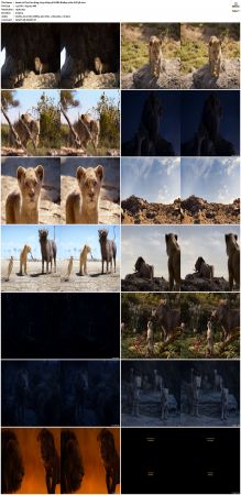 The Lion King 2019 1080p 3D HSBS BluRay x264-SUP3R