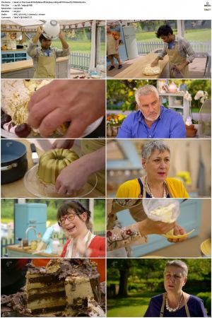 The Great British Bake Off S09 1080p HDTV h264-PLUTONiUM