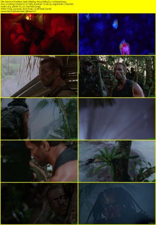 Predator 1987 BluRay H264 DolbyD 5.1 nickarad