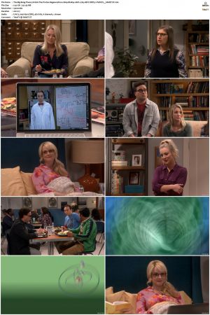 The Big Bang Theory S01-S12 1080p BluRay 10bit x265 HEVC DDP5.1-PHOCiS