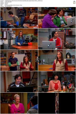 The Big Bang Theory S01-S12 1080p BluRay 10bit x265 HEVC DDP5.1-PHOCiS