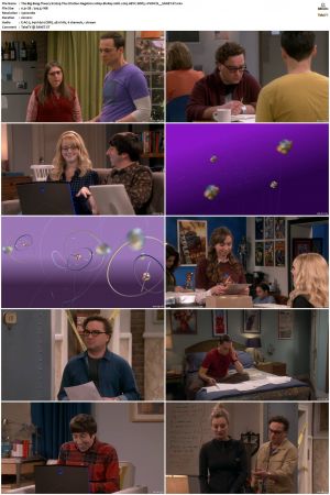 The Big Bang Theory S01-S12 1080p BluRay 10bit x265 HEVC DDP5.1-PHOCiS