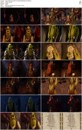 Shrek Forever After 2010 1080p 3D HSBS BluRay x264-SUP3R