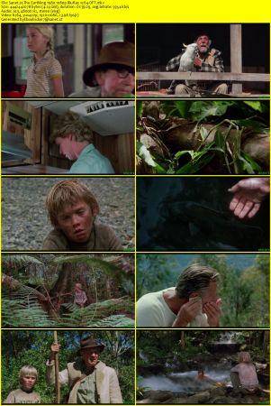 The Earthling 1980 1080p BluRay x264-OFT