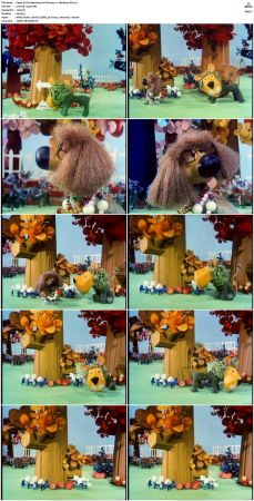 The Adventures Of Parsley S01 DVDRip XviD-NOGRP