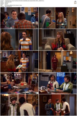 The Big Bang Theory S01-S12 1080p BluRay 10bit x265 HEVC DDP5.1-PHOCiS