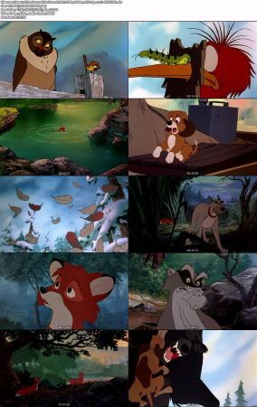 The Fox and the Hound 1981 1080p BluRay AV1 Opus 5.1-RAV1NE