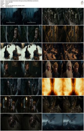 The Hobbit The Desolation Of Smaug 2013 1080p 3D HSBS BluRay x264-SUP3R