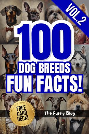 100 Dog Breeds Fun Facts! Vol.2