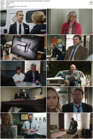 The Brokenwood Mysteries S07 1080p AMZN WEB-DL DDP2.0 H264-TEPES