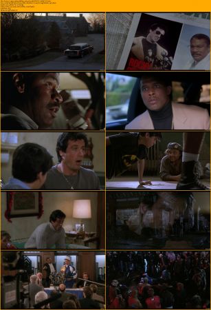 Rocky Collection 1080p BRRip x264 AC3 DiVERSiTY