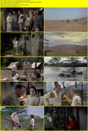 Hatari 1962 1080p BluRay x264-YTS
