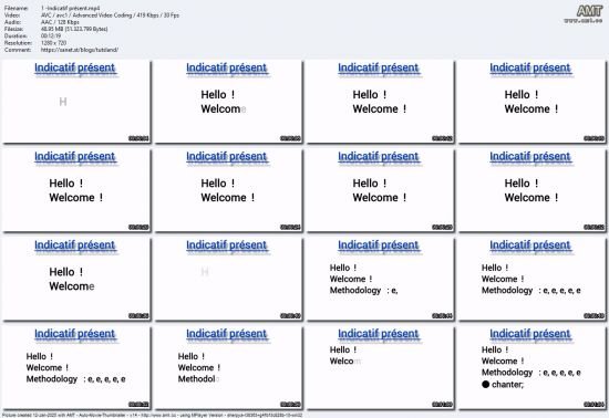 Complete course to master French verbs