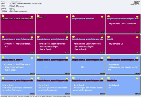 Complete course to master Portuguese verbs