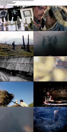 Shadows of Forgotten Ancestors 1965 1080p AV1 Opus UnAV1Chain