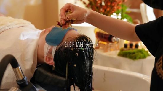 Scalp Care Sales Mastery: Consulting Skills for Success