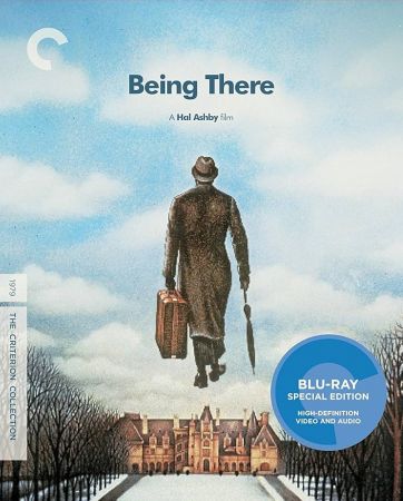 Being There 1979 1080p BluRay x265-SWAXXON