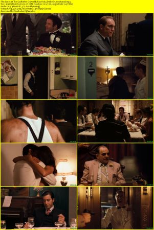 The Godfather 1972 BluRay H264 DolbyD 5.1 nickarad