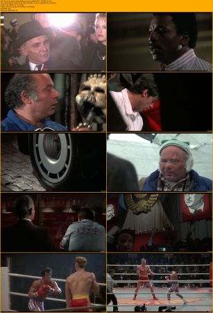 Rocky Collection 1080p BRRip x264 AC3 DiVERSiTY