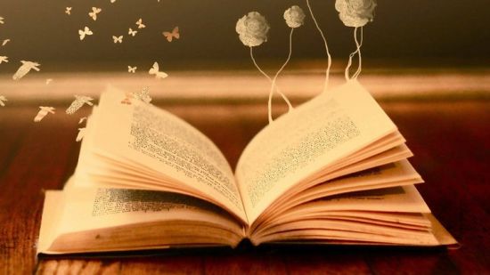 Curiosity and Lifelong Learning 2025