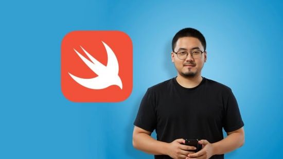 Ultimate iOS Bootcamp: Master Swift SwiftUI App THE HARD WAY