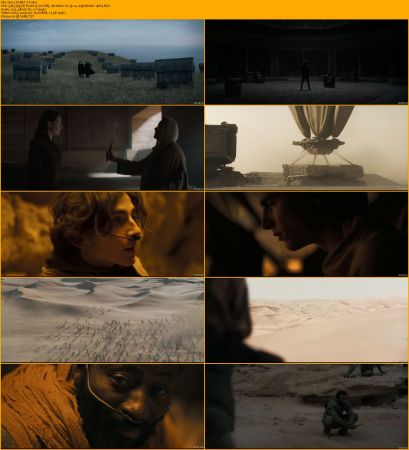 Dune Duology 1080p WEBRip x264 AC3 DiVERSiTY