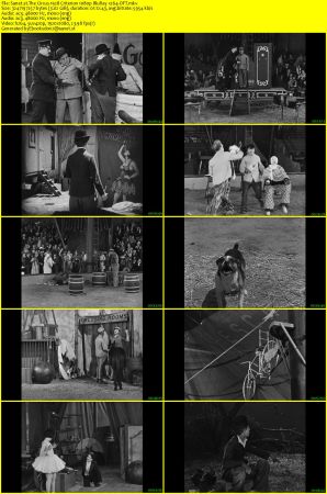 The Circus 1928 Criterion 1080p BluRay x264-OFT