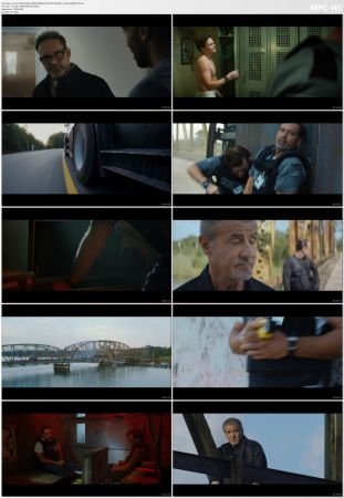 Armor 2024 BluRay 1080p REMUX AVC DTS-HD MA 5.1-Aisha