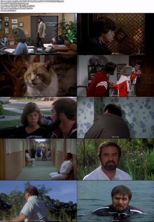 The End 1978 1080p BluRay DDP 1.0 10bit H265-iVy