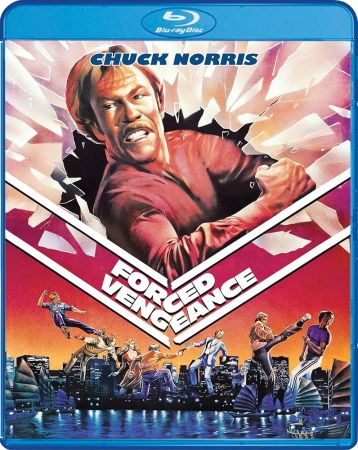 Forced Vengeance 1982 1080p BluRay AV1-SWAXXON