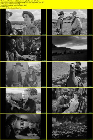 Red River 1948 Criterion 1080p BluRay x264-OFT