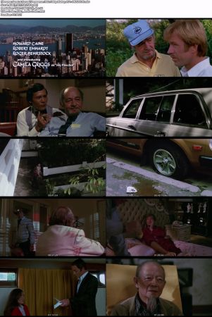 Forced Vengeance 1982 1080p BluRay AV1-SWAXXON
