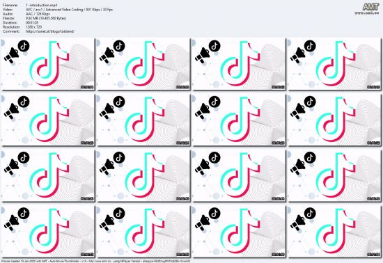 Master TikTok Ads: From 0 to 10k profits in 30 Days