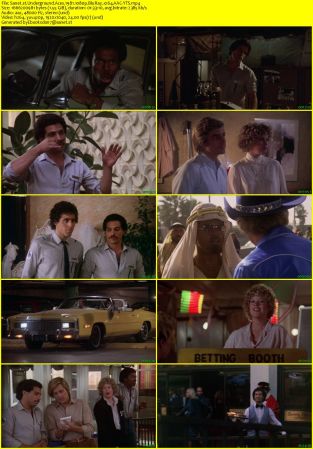 Underground Aces 1981 1080p BluRay x264 AAC-YTS