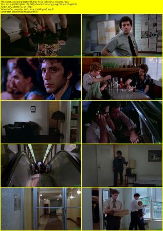 Cruising 1980 BluRay H264 DolbyD 5.1 nickarad