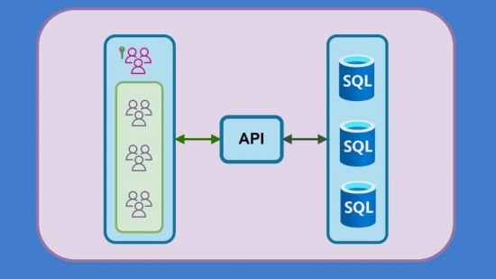 Advanced .NET Web API: Multi-Tenant Applications (NEW)