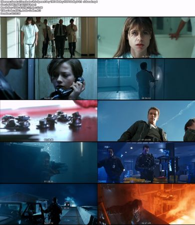 Terminator ll Judgment Day 1991 BluRay H264 DolbyD 5.1 nickarad