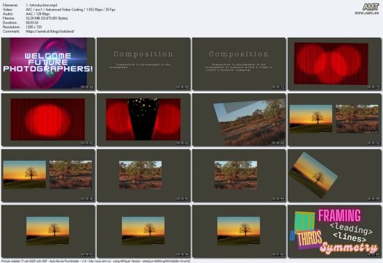 Photography Composition for Beginners