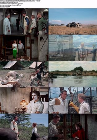 Hatari 1962 2160p 4K BluRay x265 10bit AAC 5.1-YTS