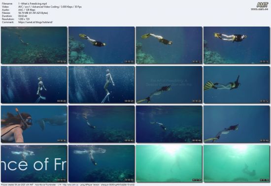 Freediving Essentials: Technique, Safety, and Exploration