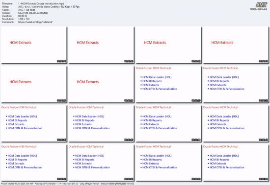 Oracle Fusion Cloud HCM Technical HCM Extracts R13 -24C