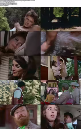 Vixen 1968 Remastered 1080p BluRay HEVC x265 BONE