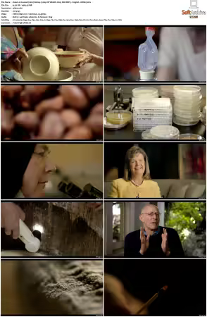 Cooked 2016 S01 2160p NF WEB-DL H265 SDR DDP 51 HONE