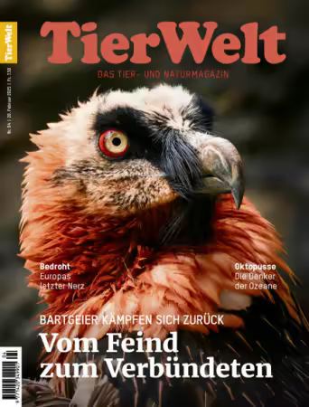TierWelt - Nr.04, 20 Februar 2025