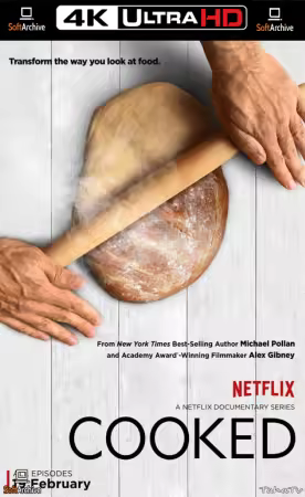 Cooked 2016 S01 2160p NF WEB-DL H265 SDR DDP 5.1 HONE