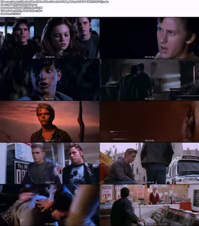 The Outsiders 1983 edition-Theatrical 1080p BluRay DDP 5.1 10bit H265-iVy