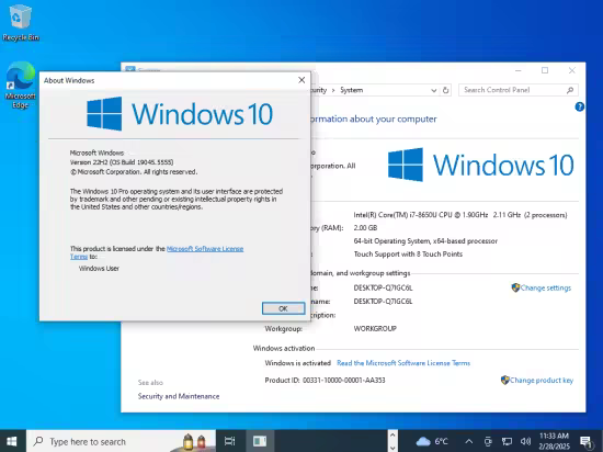Windows 10 Pro 22H2 Build 19045.5555 Preactivated Preview