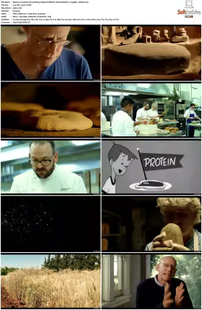 Cooked 2016 S01 2160p NF WEB-DL H265 SDR DDP 51 HONE